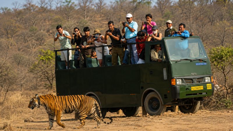 Open canter bus safari heading into the Dhikala core zone