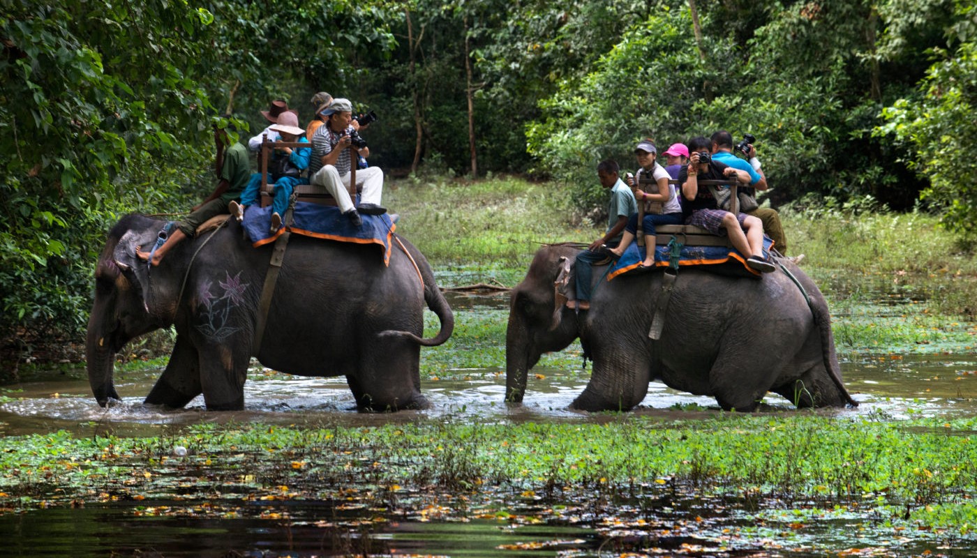 Elephant safari moving through tall grassland in Jim Corbett